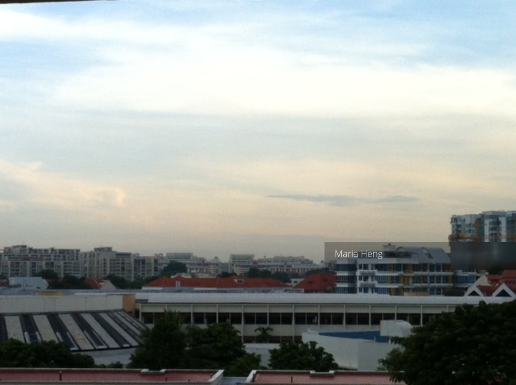 Florence Regency (Enbloc) (D19), Apartment #112122252